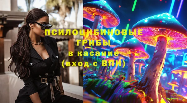 спайс Белокуриха