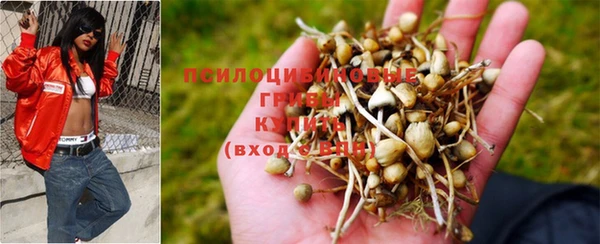 каннабис Беломорск