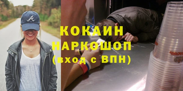 молекула духа Снежинск