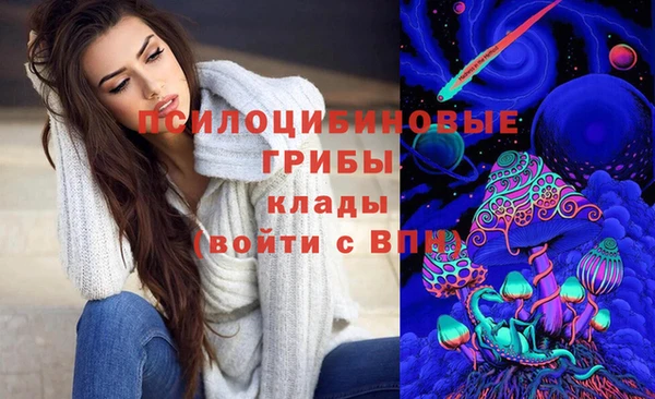 стафф Белоозёрский